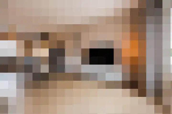 Fuikhoren 8 Hellevoetsluis thumbnail 6