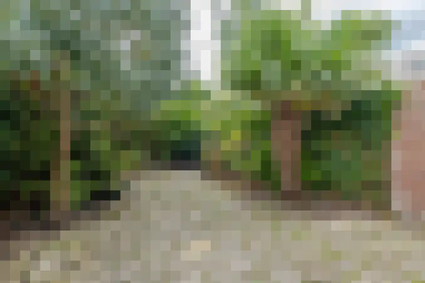 Fuikkant 5 Barendrecht thumbnail 13