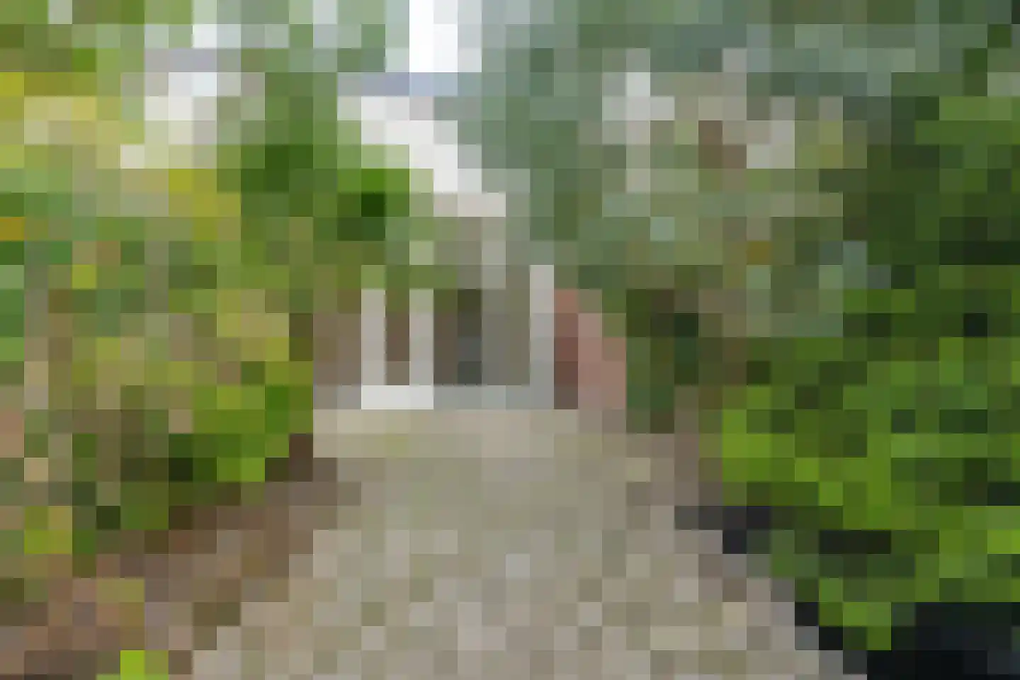 Fuikkant 5 Barendrecht thumbnail 14