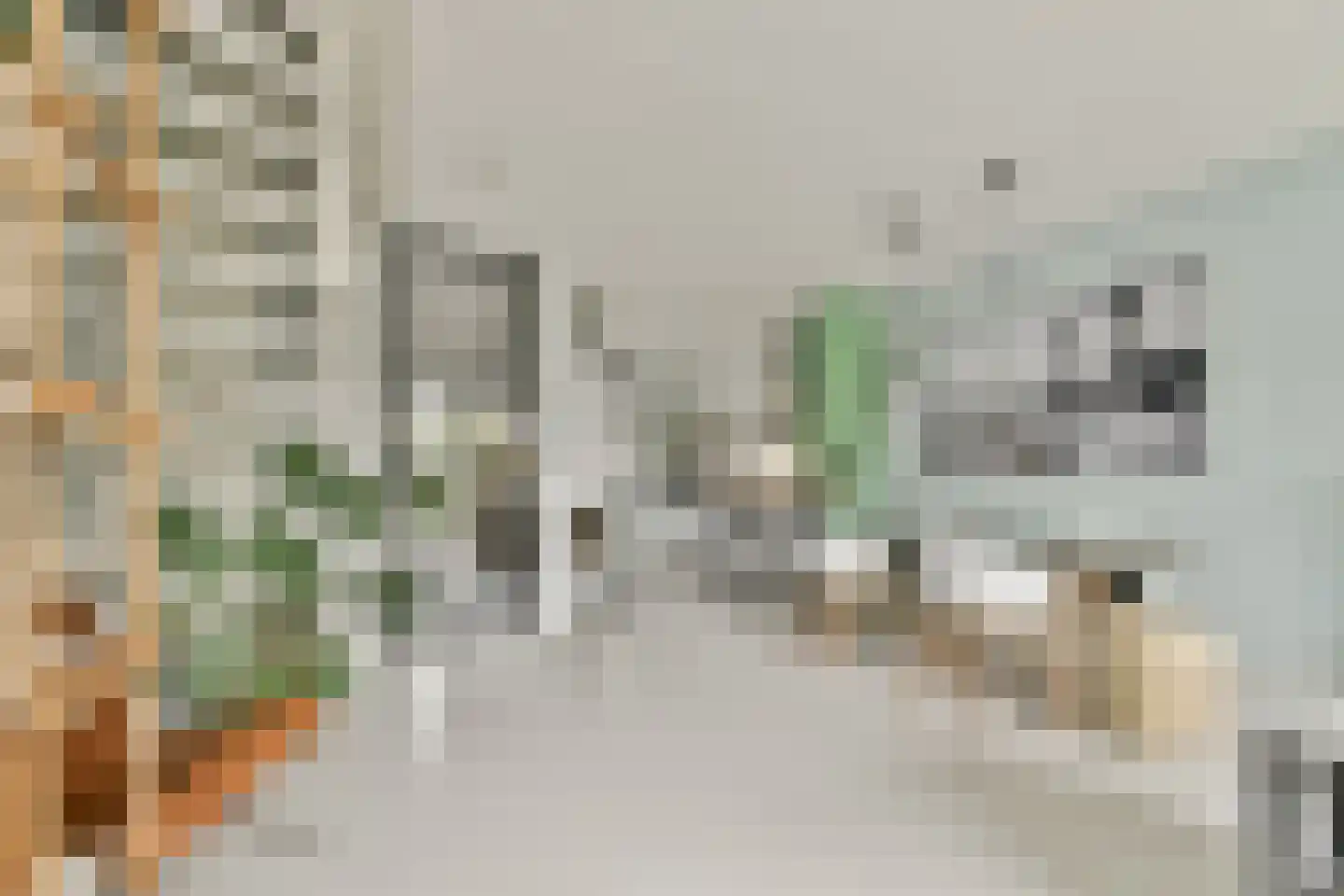 Fuikstraat 44 Rotterdam thumbnail 12
