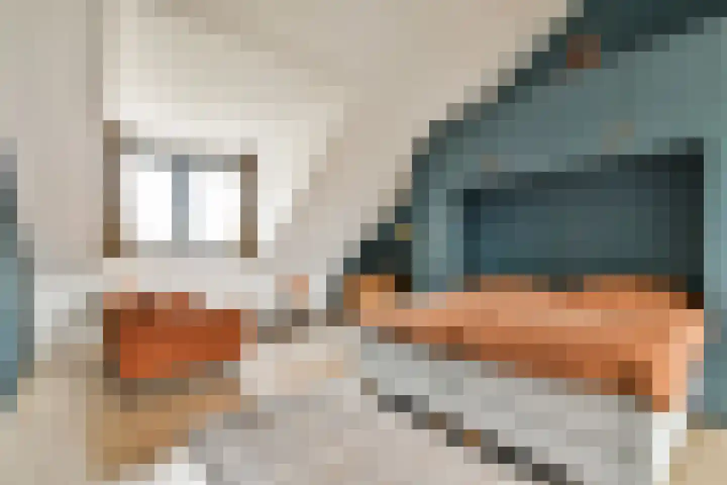 Fuikstraat 44 Rotterdam thumbnail 23