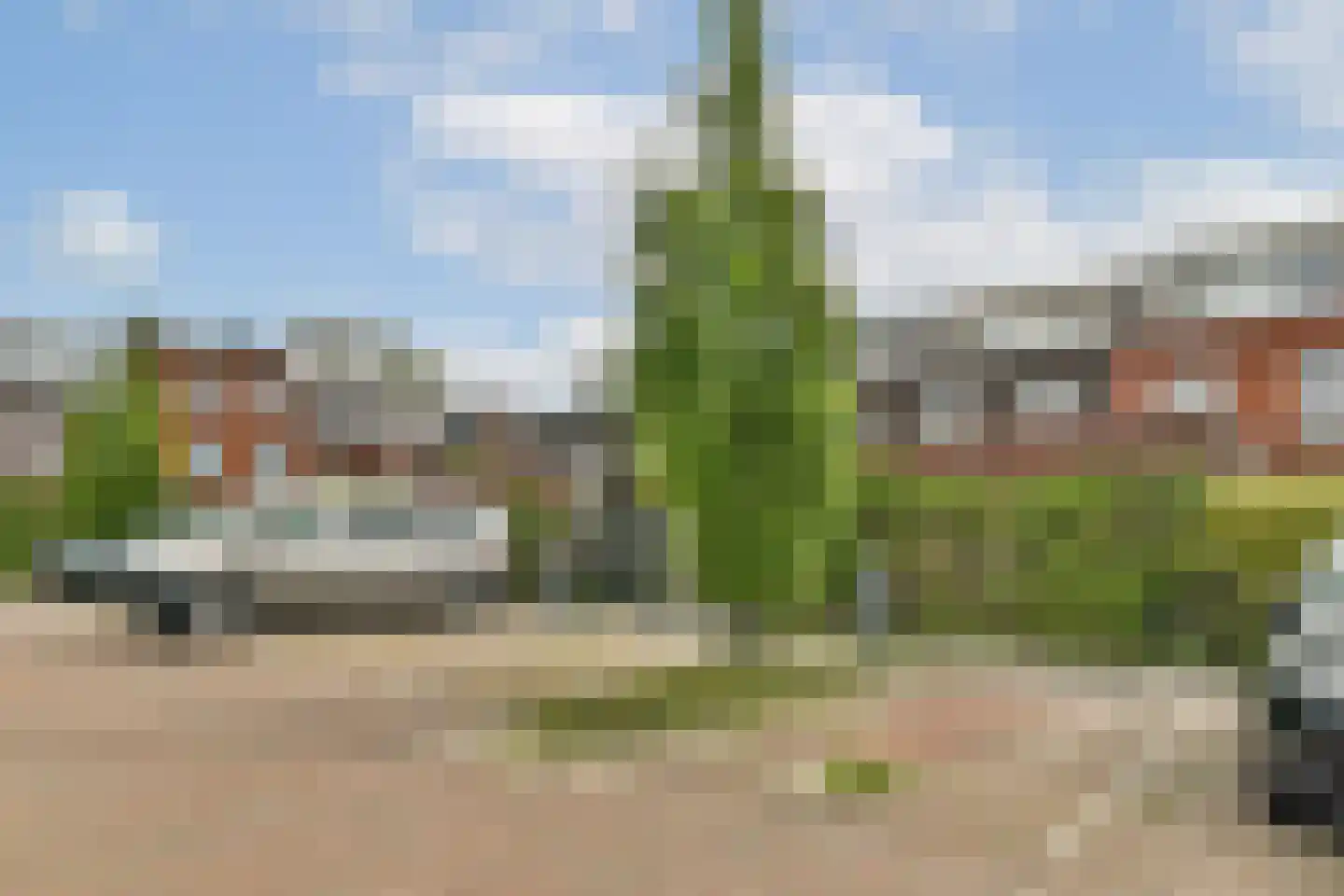 Fuikstraat 44 Rotterdam thumbnail 30