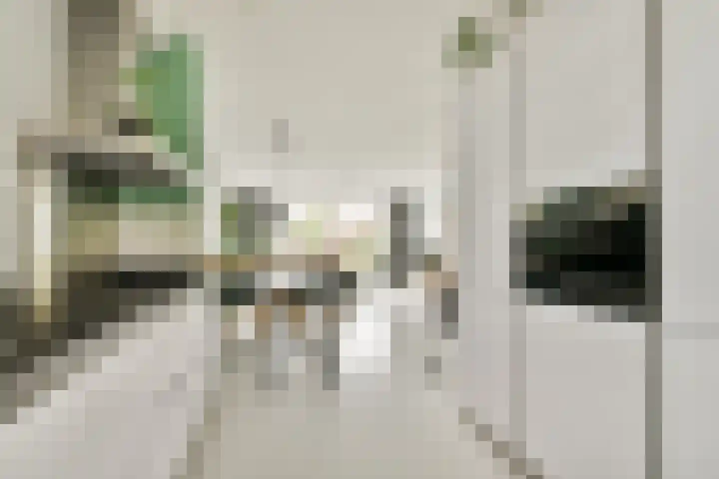 Fuikstraat 44 Rotterdam thumbnail 6