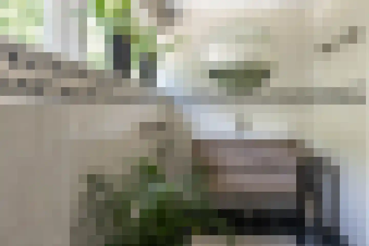 Fuikweg 15 Vijfhuizen thumbnail 34