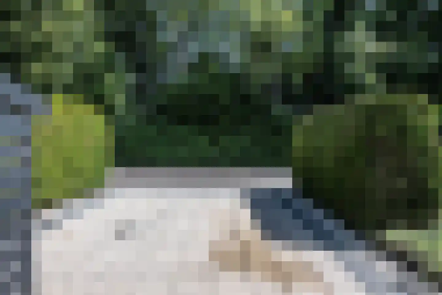 Fuikweg 15 Vijfhuizen thumbnail 36