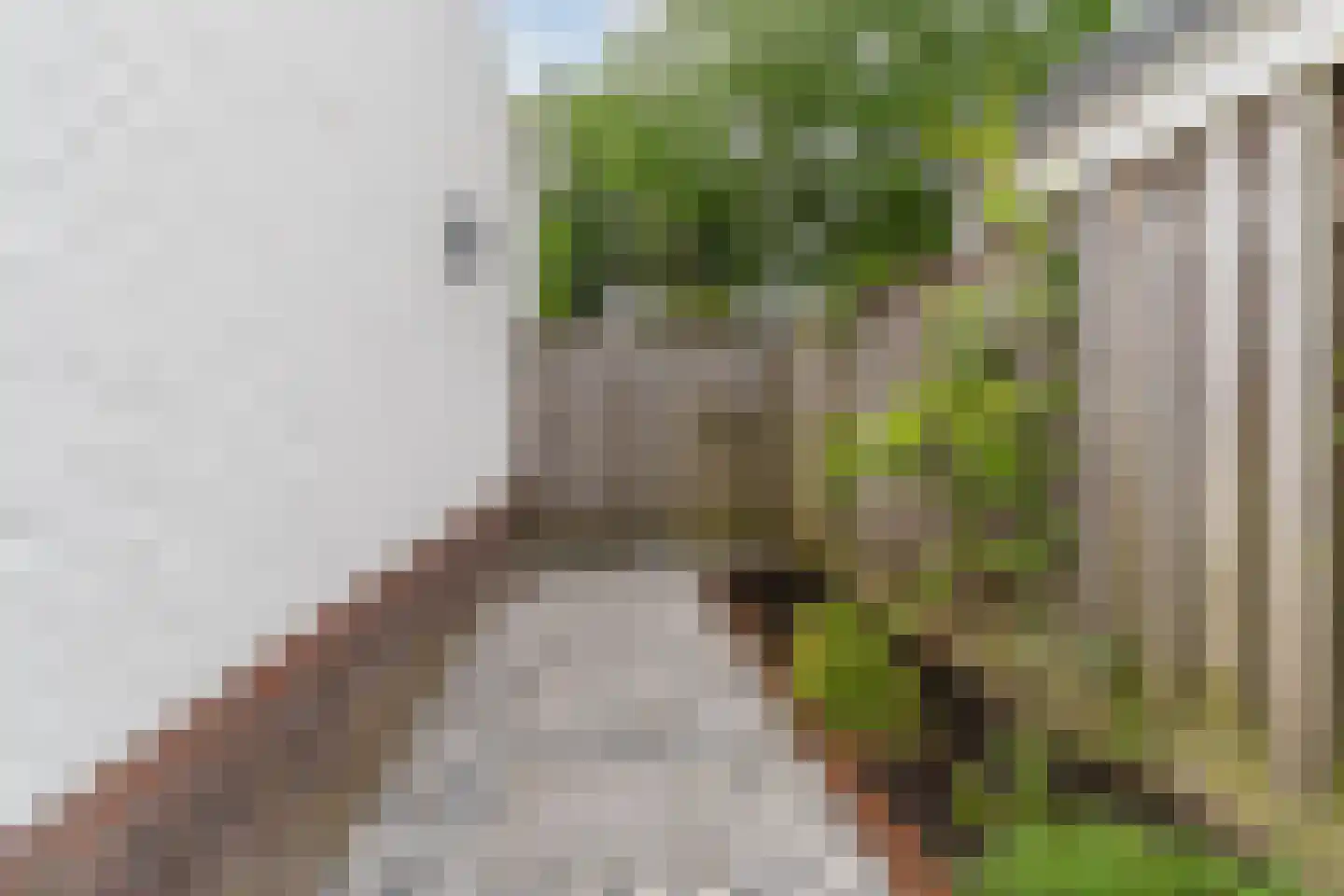 Fulcopad 5 Berlicum thumbnail 45