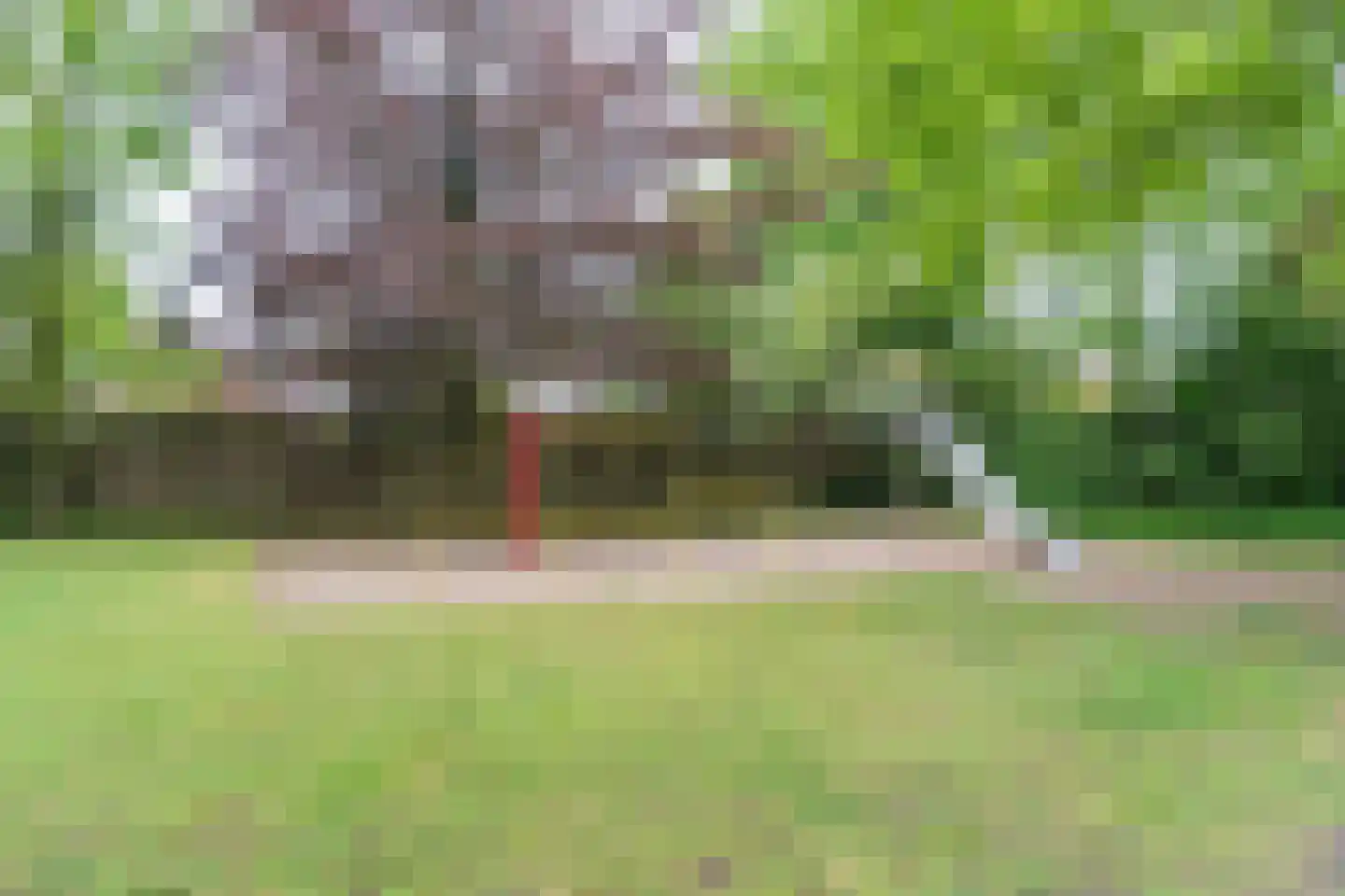Fulcopad 5 Berlicum thumbnail 51