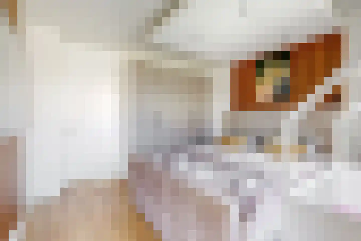 Fultonbaan 1 6 Nieuwegein thumbnail 34