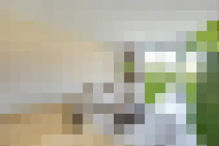 Fultonbaan 5 5 Nieuwegein thumbnail 11