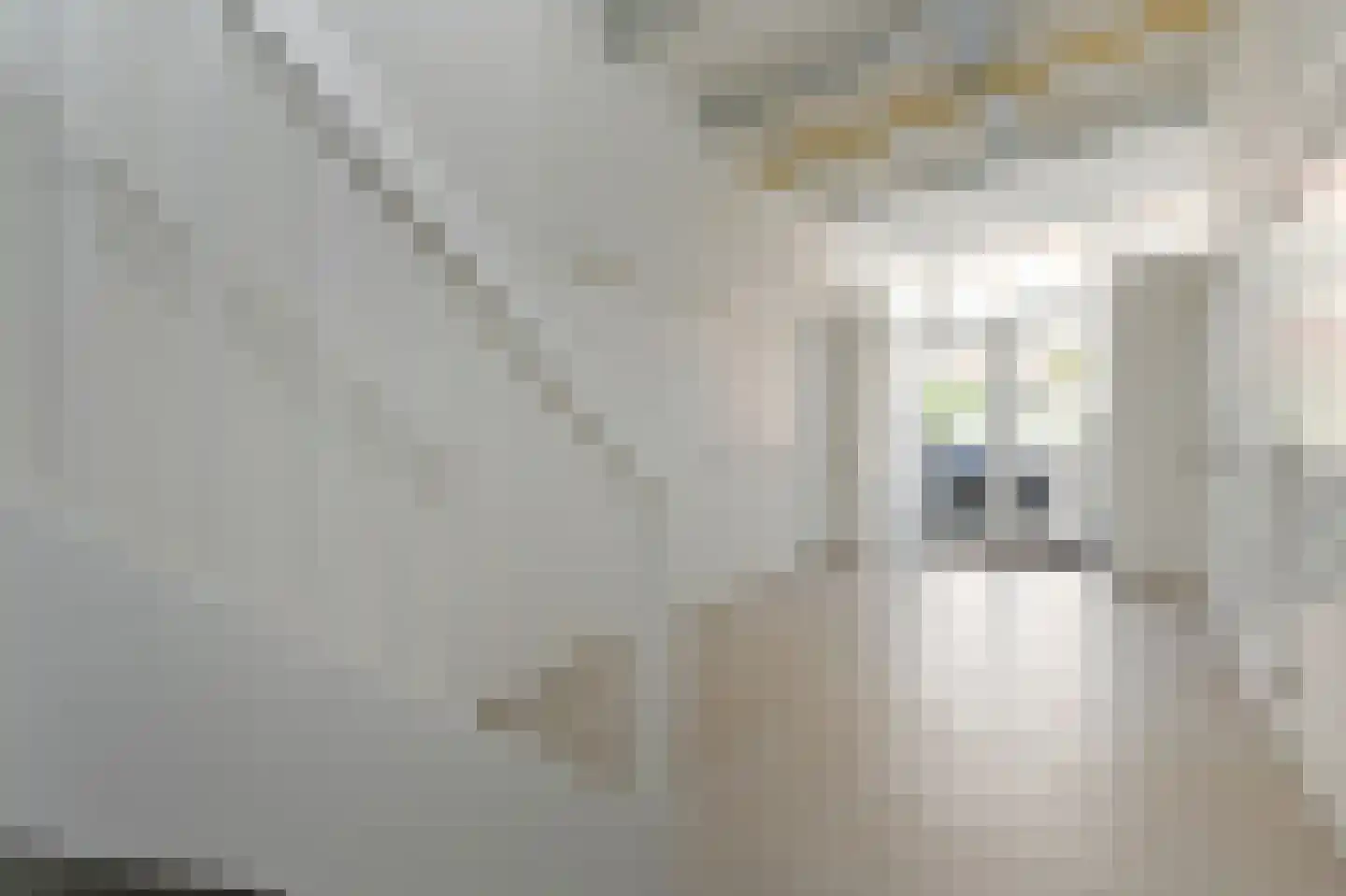 Fultonstraat 2 P Den Haag thumbnail 29