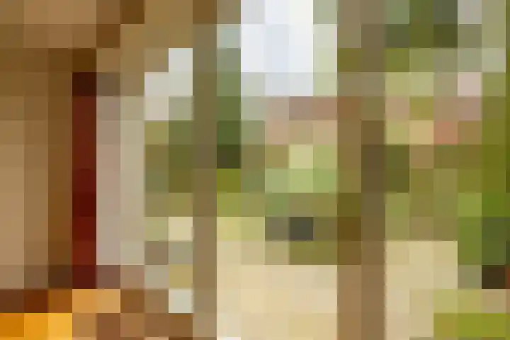 Fultsemaheerd 24 Groningen thumbnail 19