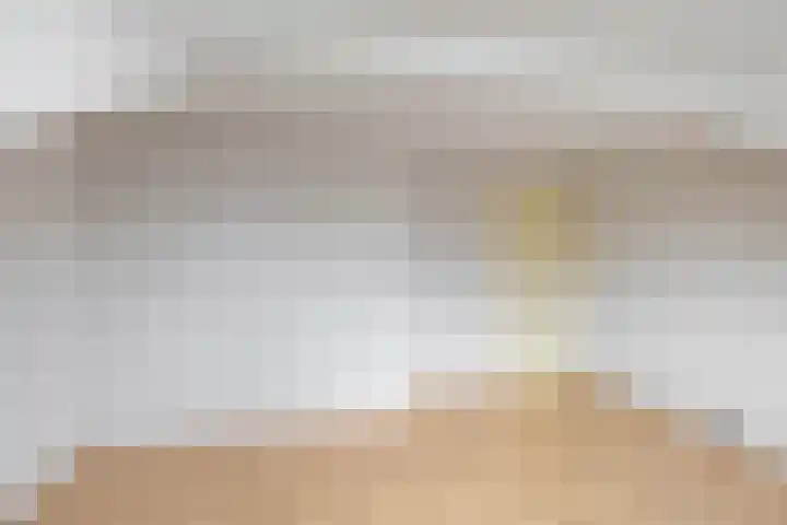 Fultsemaheerd 24 Groningen thumbnail 28