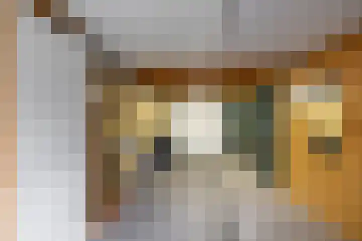 Fultsemaheerd 24 Groningen thumbnail 36