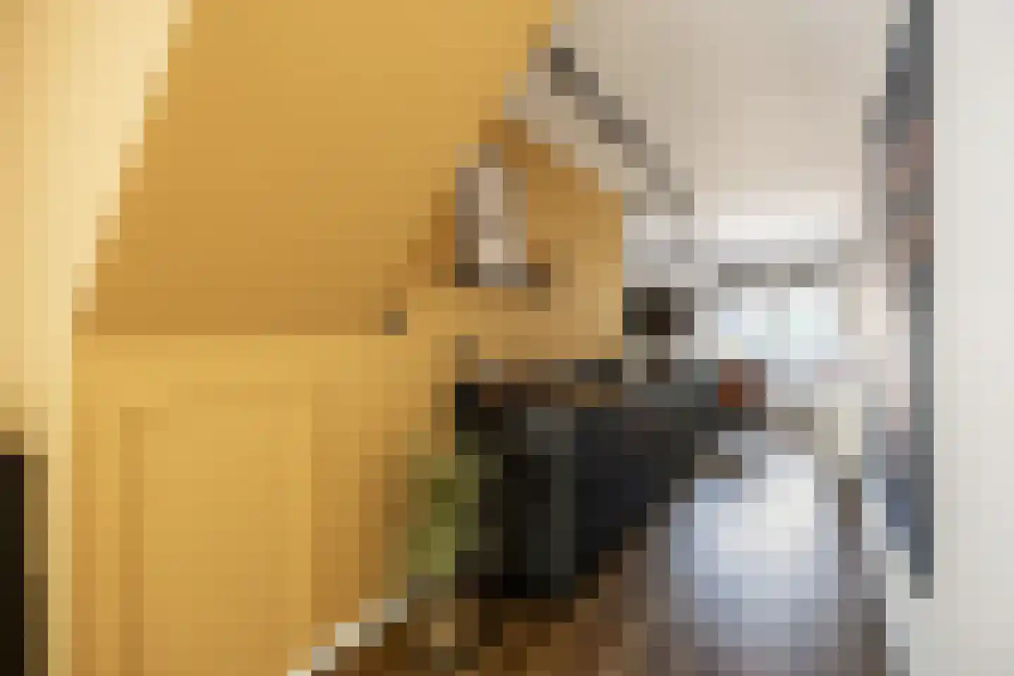 Fultsemaheerd 25 d Groningen thumbnail 16