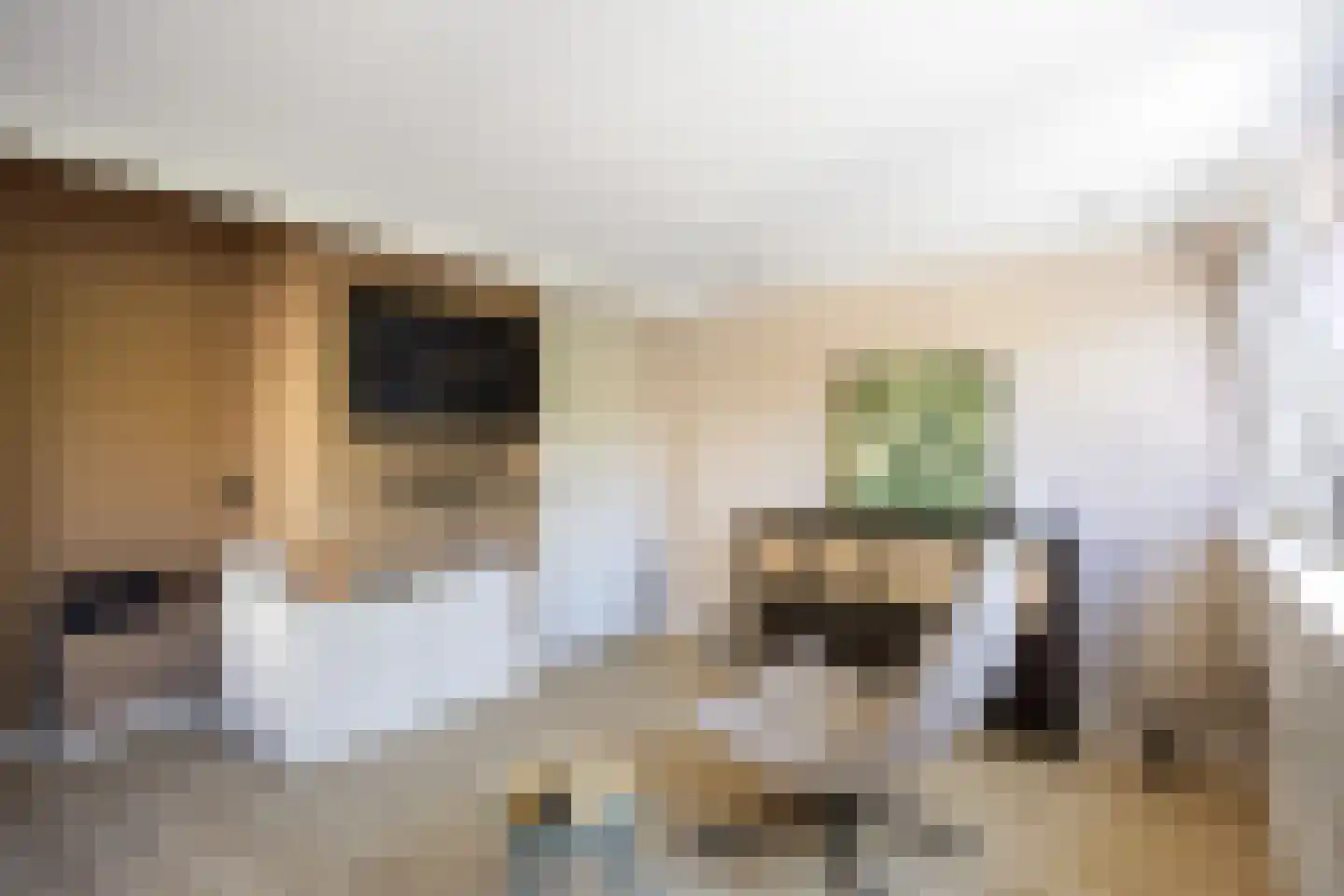 Fultsemaheerd 25 d Groningen thumbnail 44