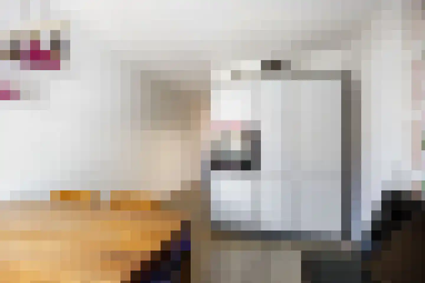 Fultsemaheerd 31 c Groningen thumbnail 20