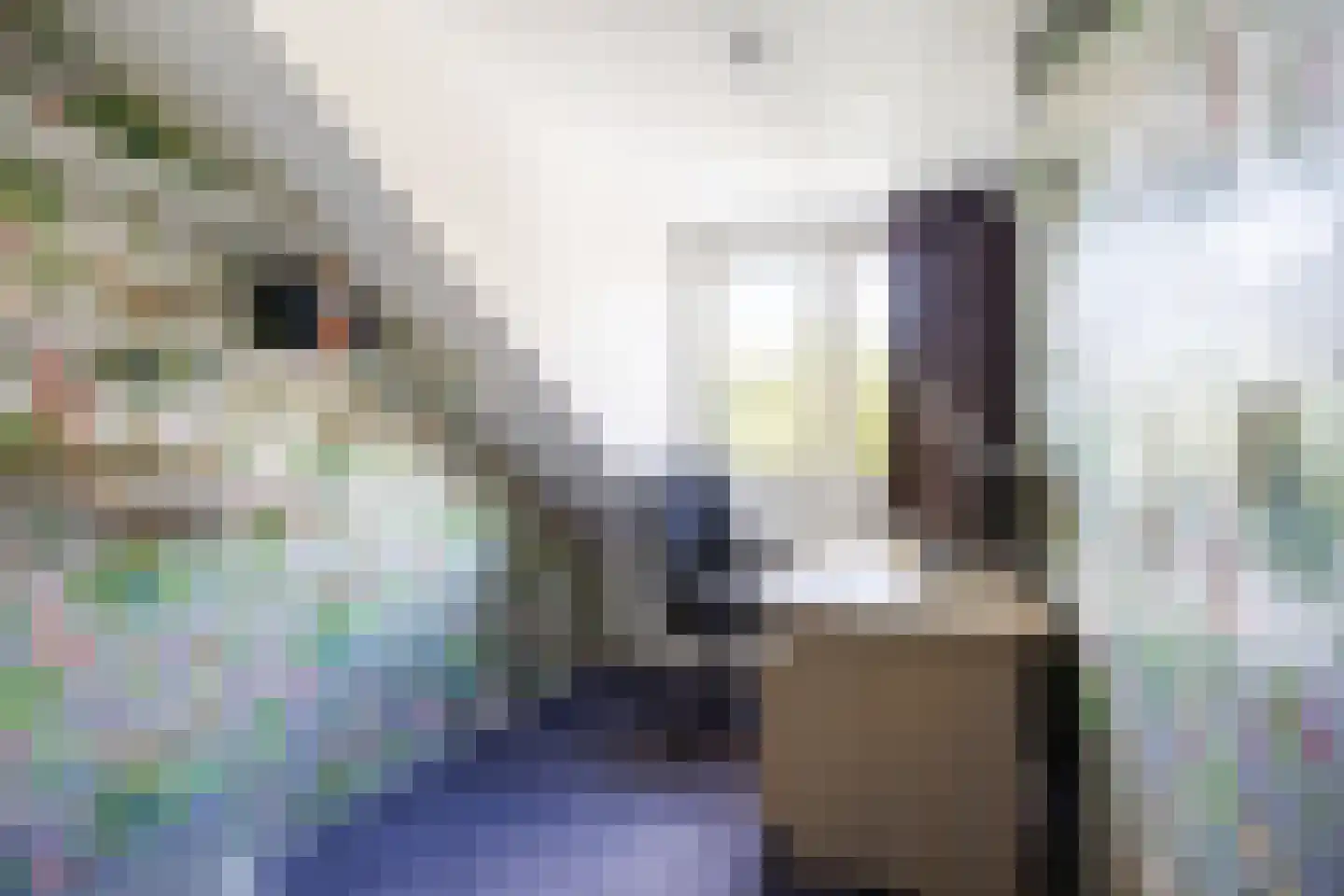 Fultsemaheerd 31 c Groningen thumbnail 35