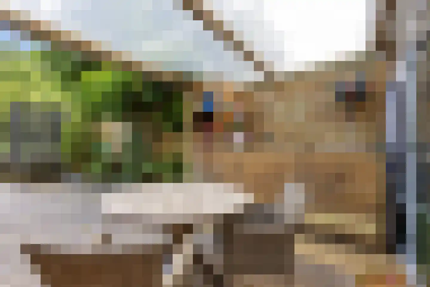 Fultsemaheerd 31 c Groningen thumbnail 44