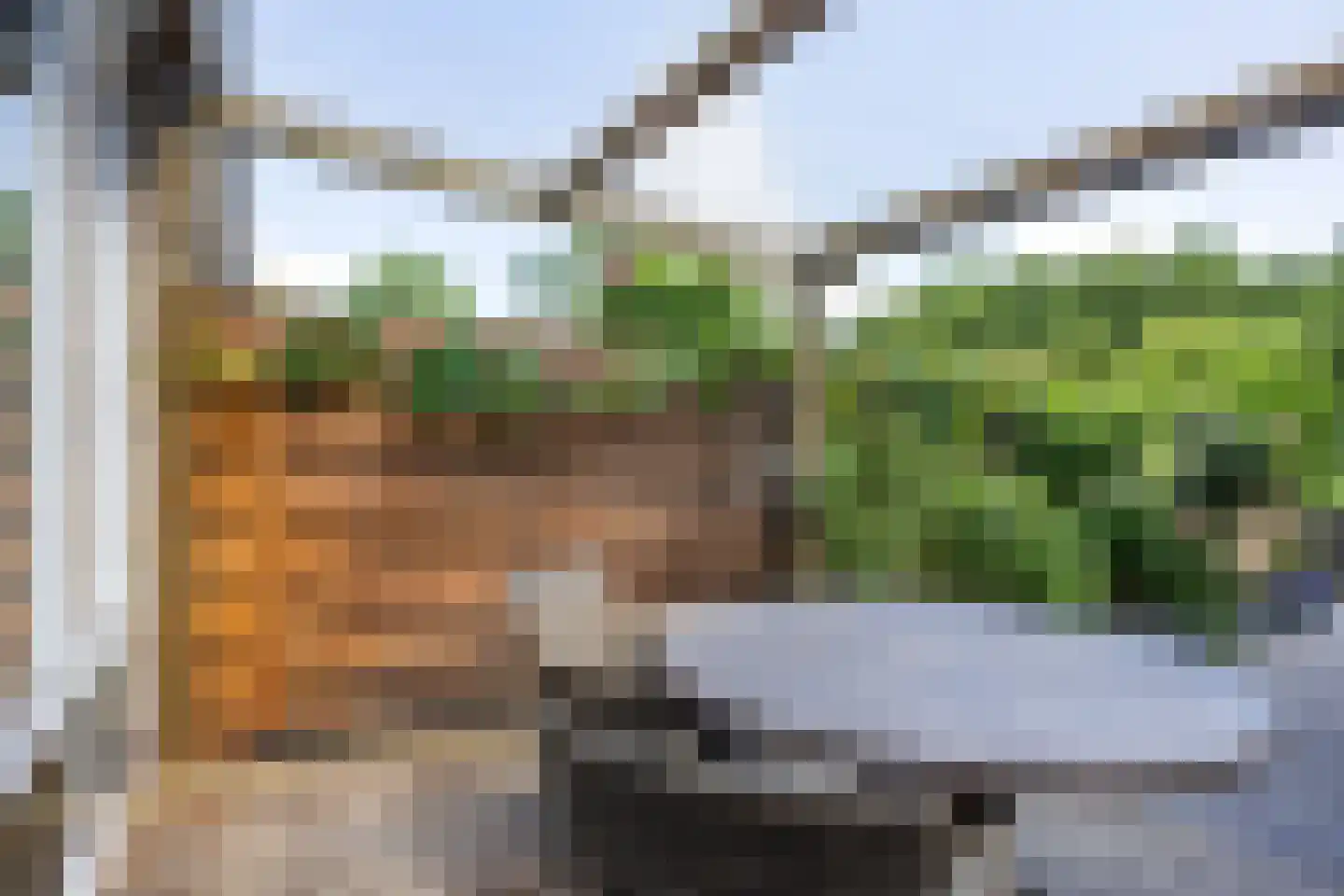 Fultsemaheerd 31 c Groningen thumbnail 45