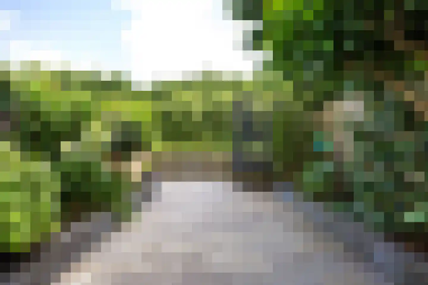 Fultsemaheerd 31 c Groningen thumbnail 48