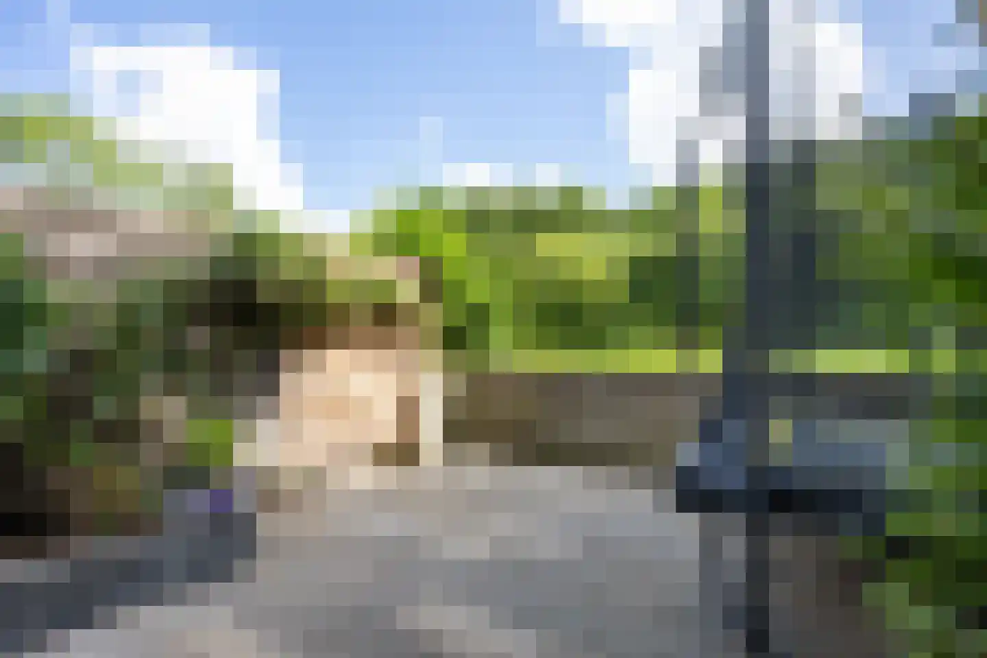 Fultsemaheerd 31 c Groningen thumbnail 49
