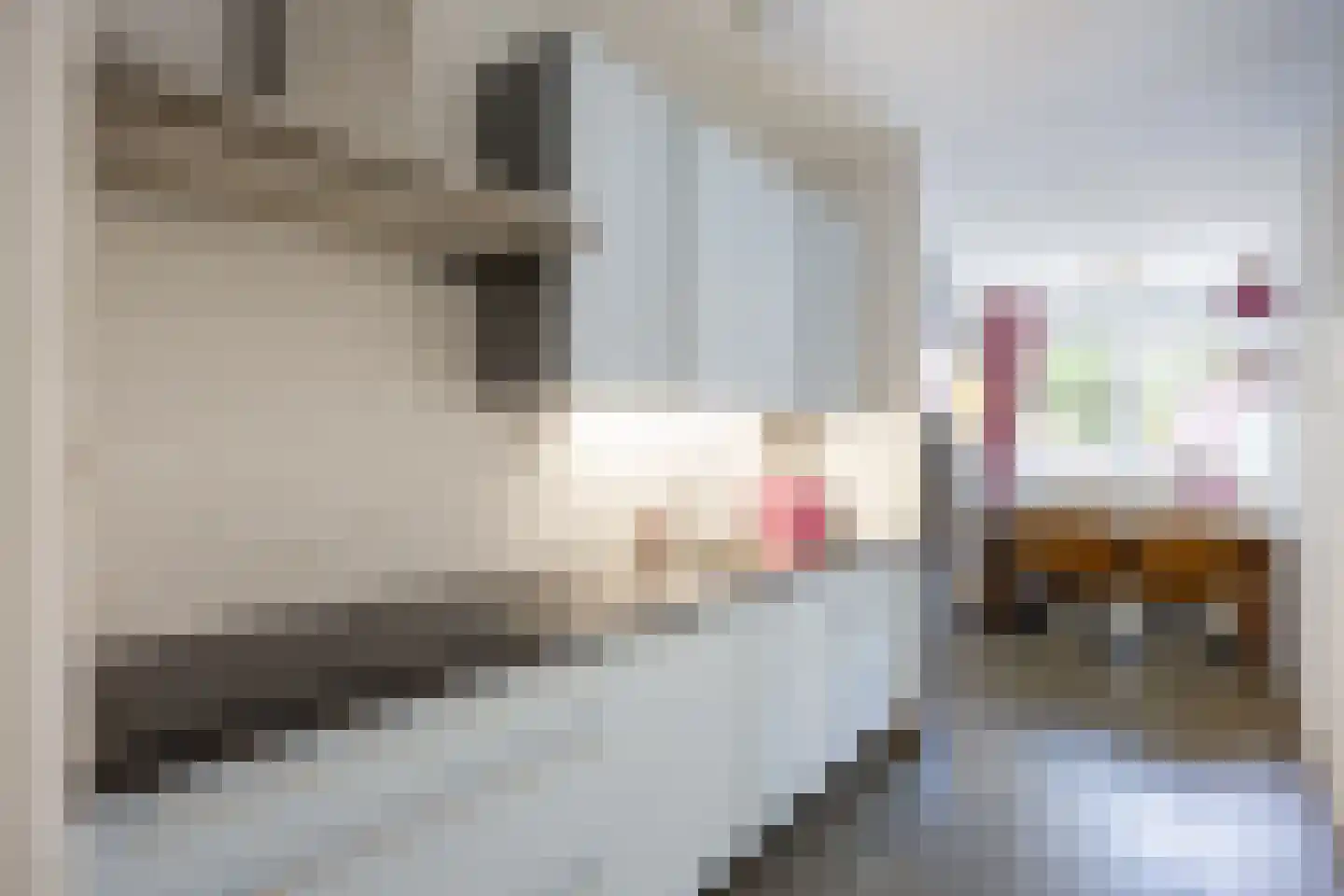 Fultsemaheerd 31 c Groningen thumbnail 5