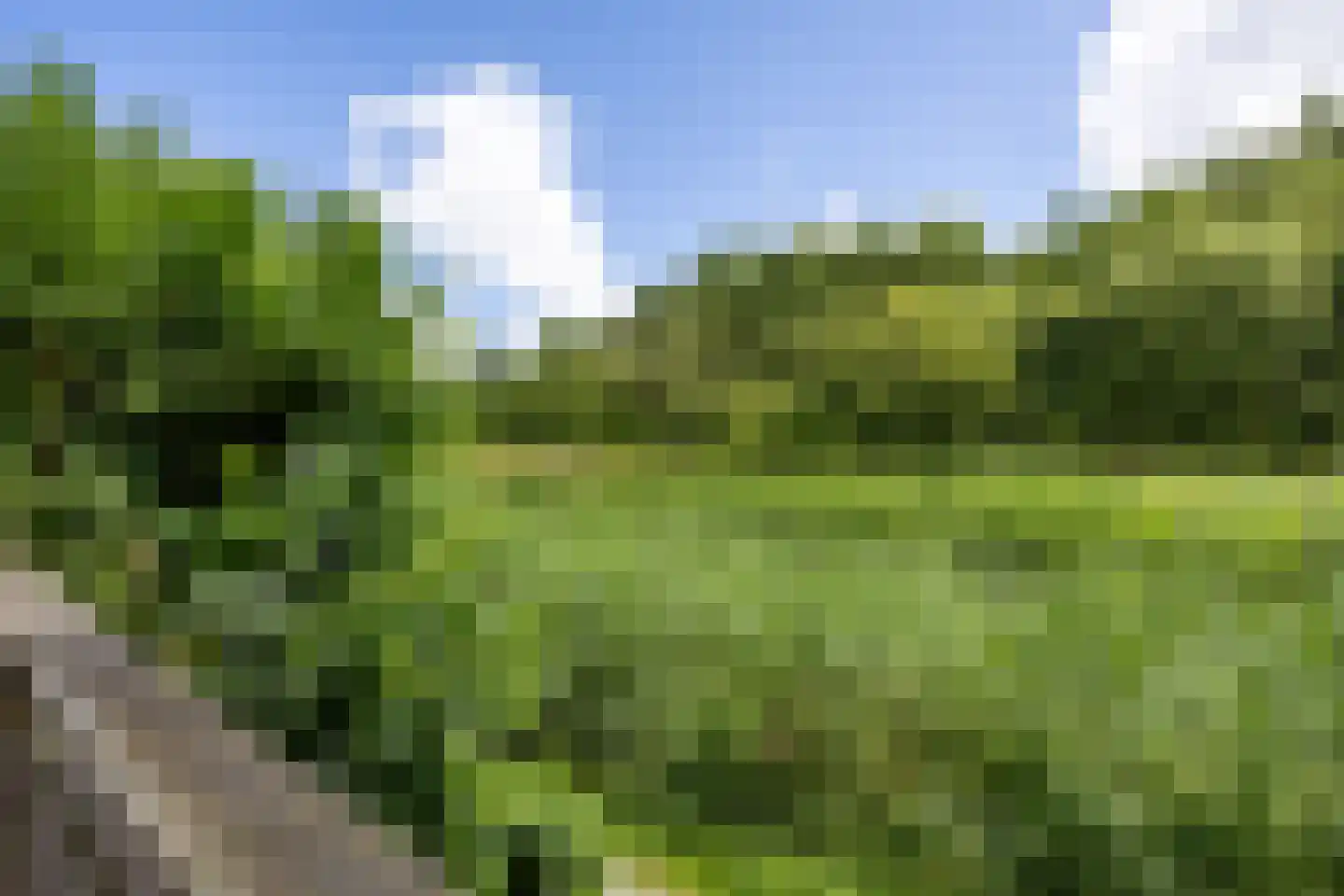 Fultsemaheerd 31 c Groningen thumbnail 50