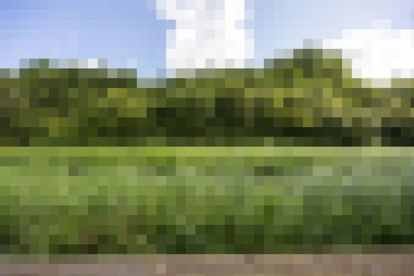 Fultsemaheerd 31 c Groningen thumbnail 51