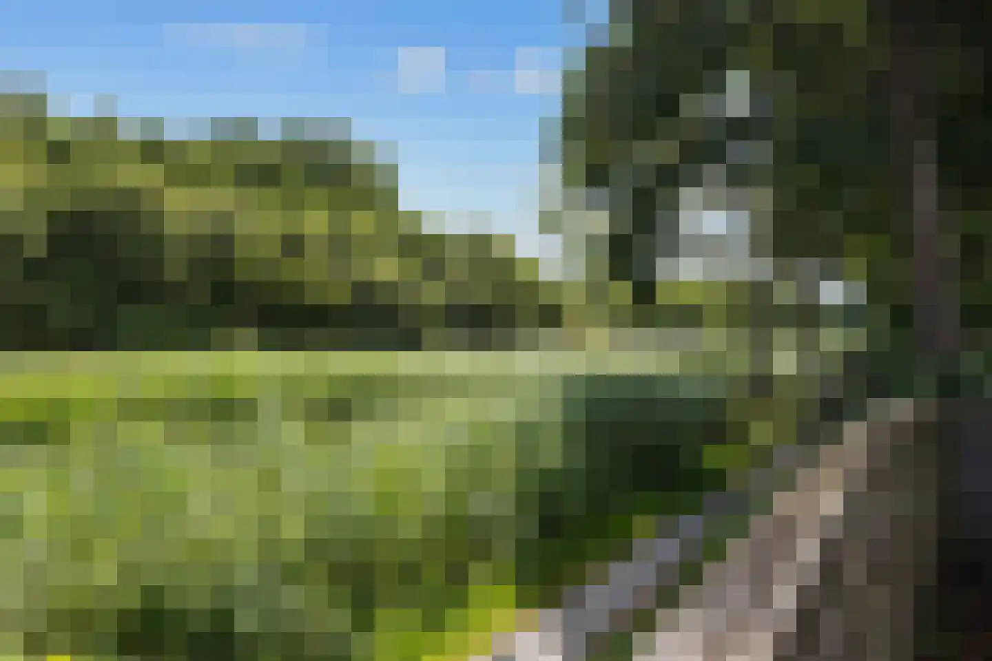 Fultsemaheerd 31 c Groningen thumbnail 52