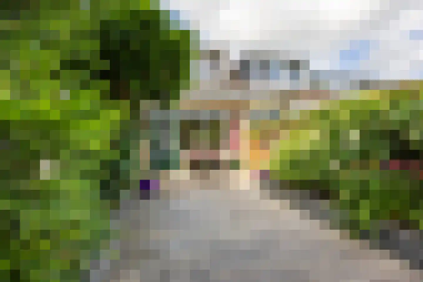 Fultsemaheerd 31 c Groningen thumbnail 53