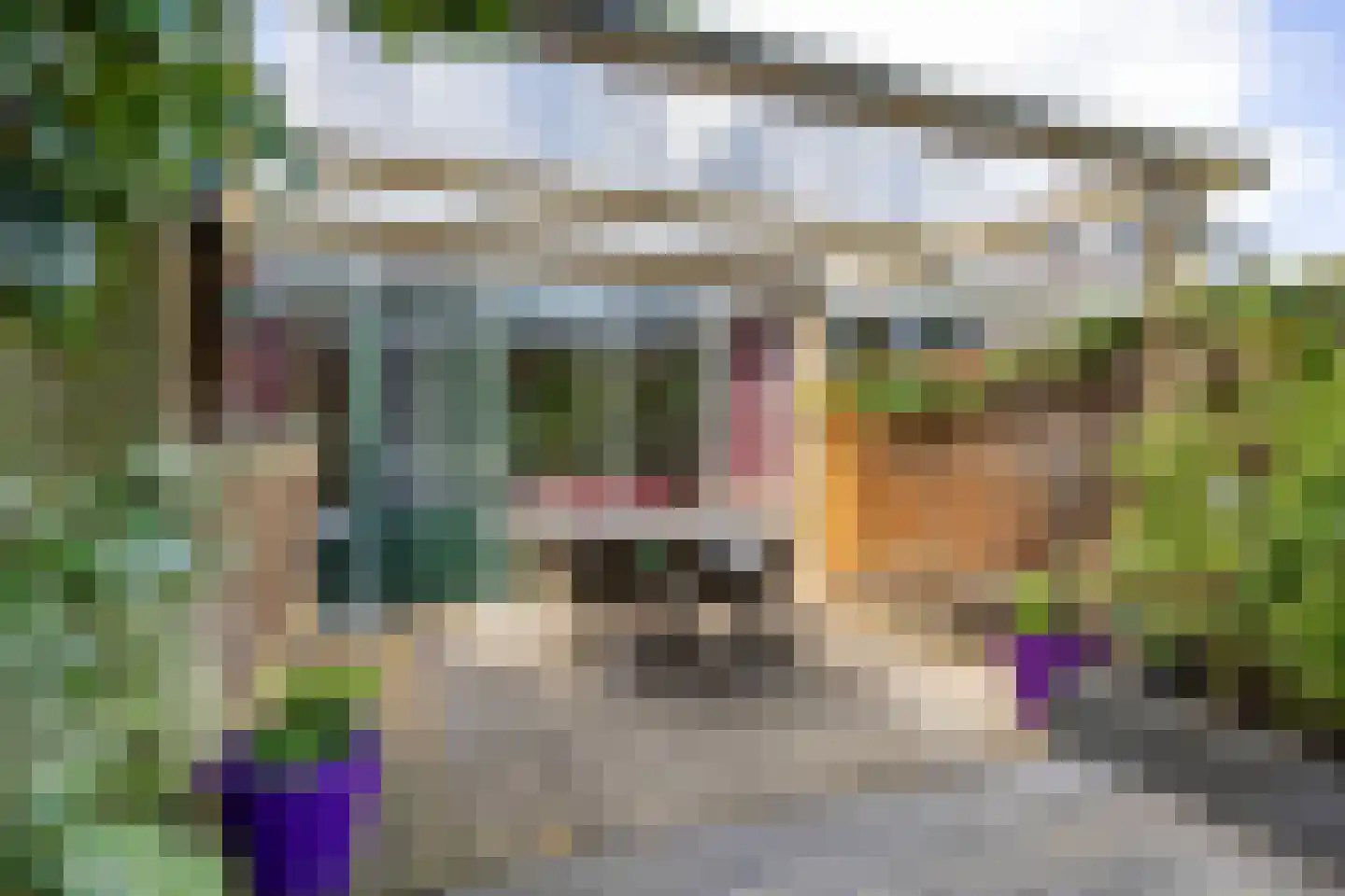 Fultsemaheerd 31 c Groningen thumbnail 54