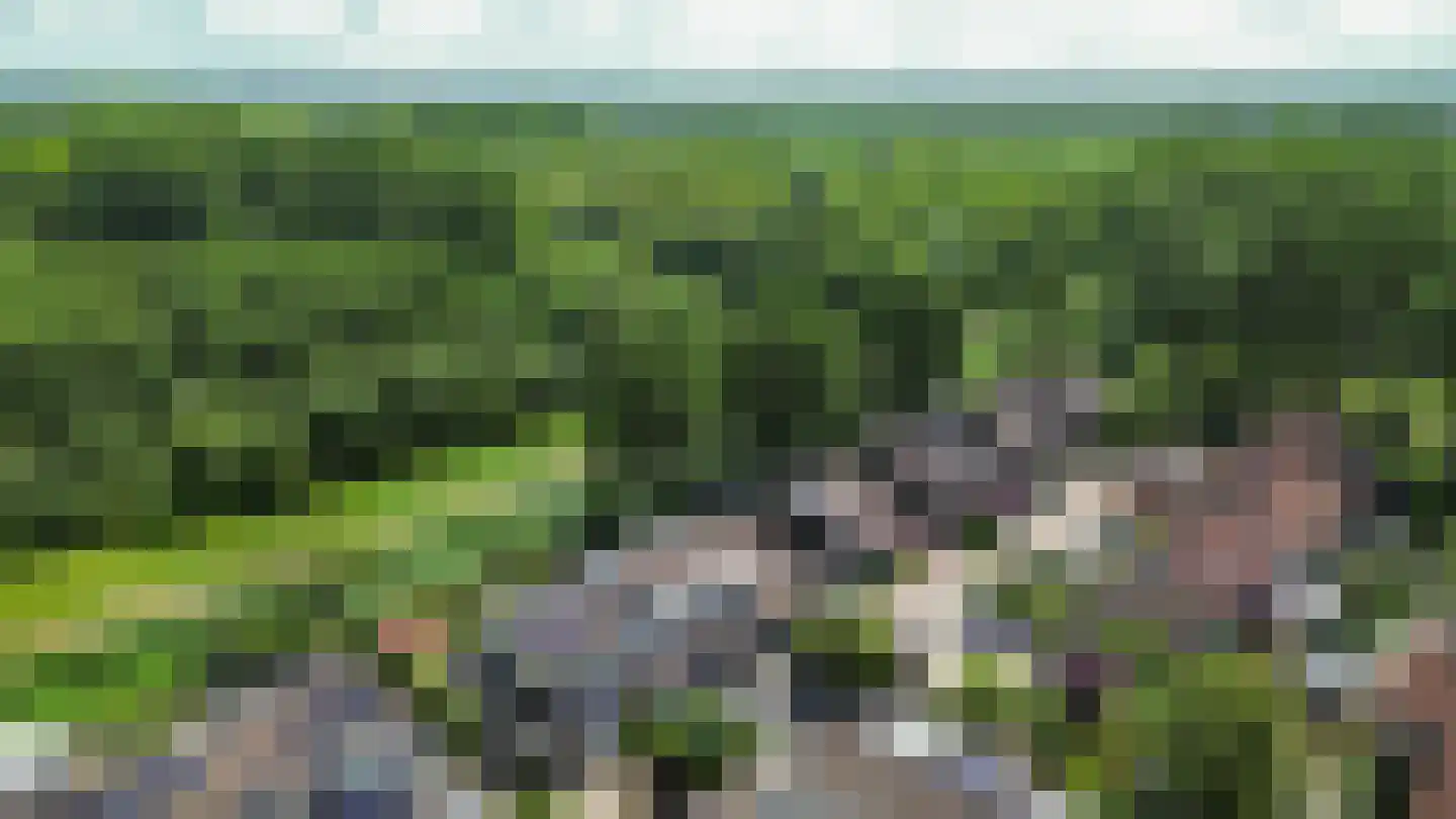 Fultsemaheerd 31 c Groningen thumbnail 57