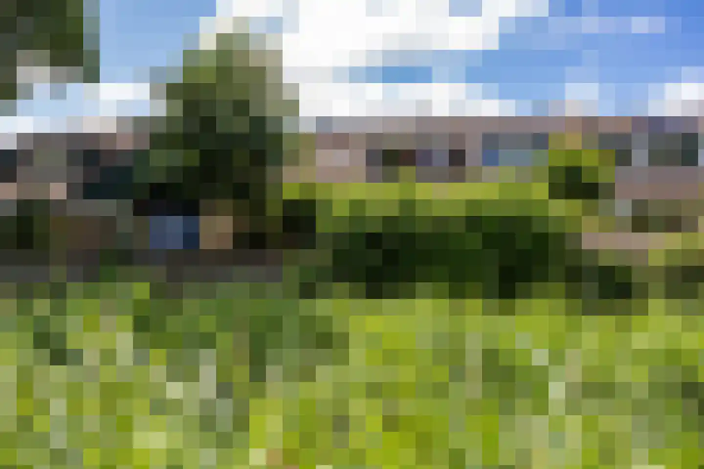 Fultsemaheerd 31 c Groningen thumbnail 63