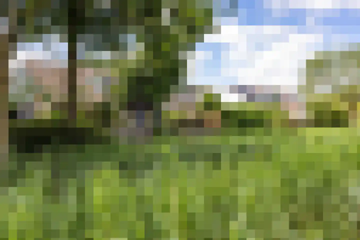 Fultsemaheerd 31 c Groningen thumbnail 64