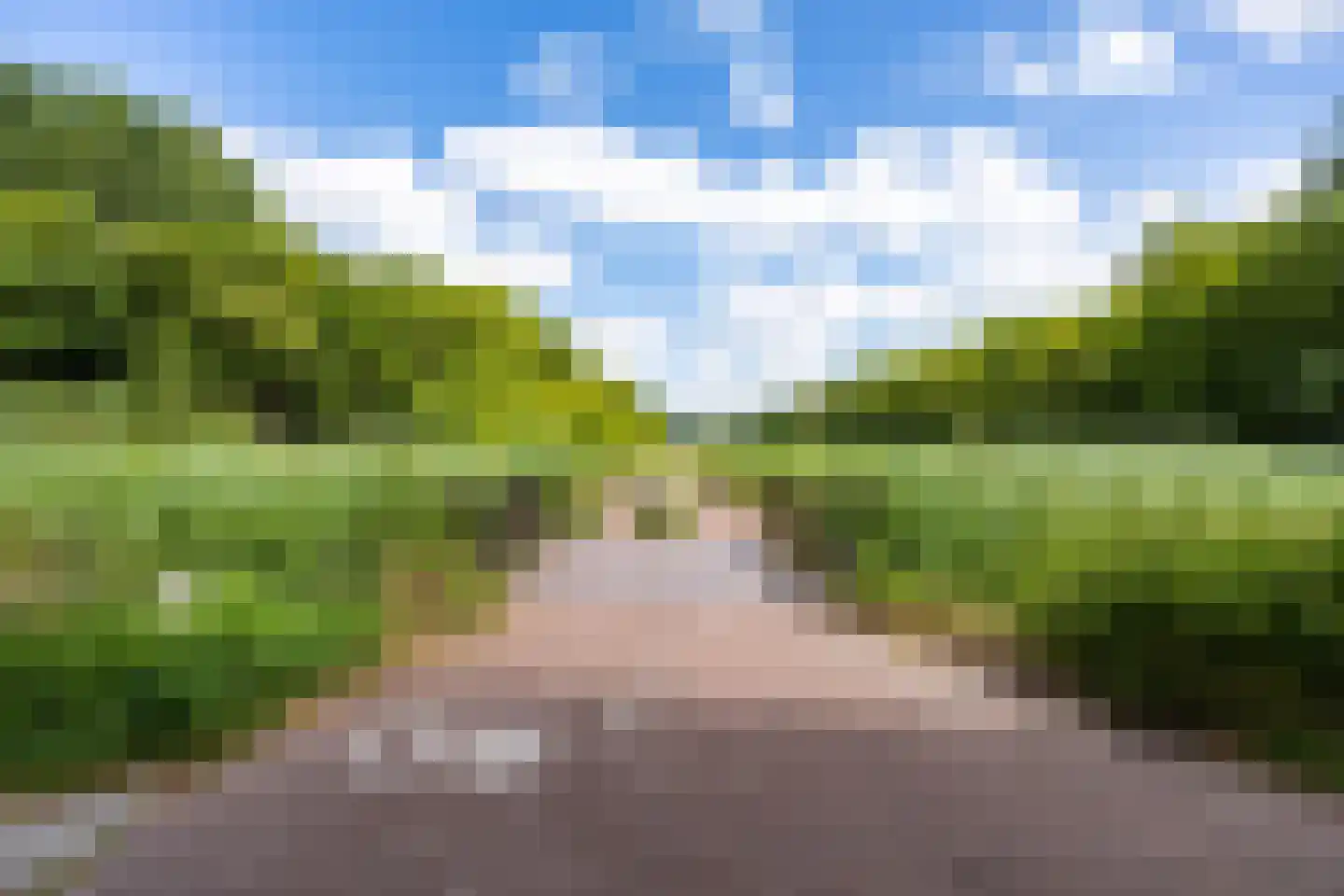 Fultsemaheerd 31 c Groningen thumbnail 66