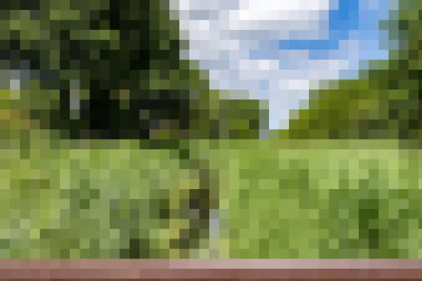 Fultsemaheerd 31 c Groningen thumbnail 67
