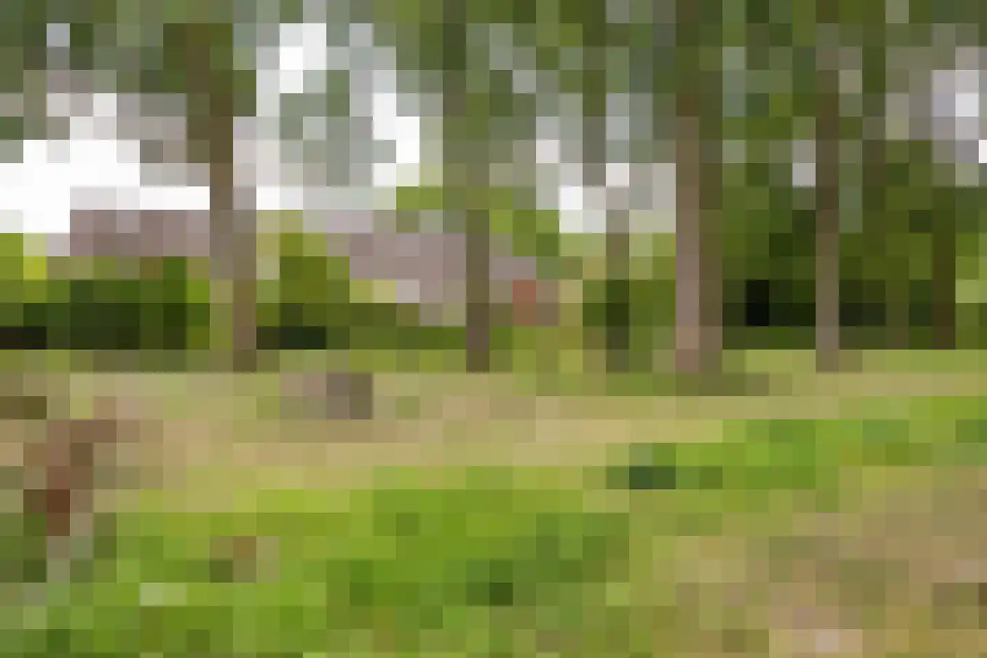 Fultsemaheerd 31 c Groningen thumbnail 69