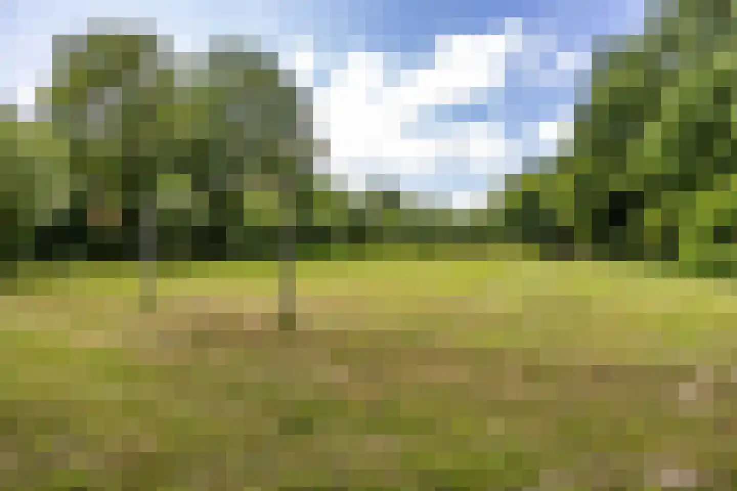 Fultsemaheerd 31 c Groningen thumbnail 70