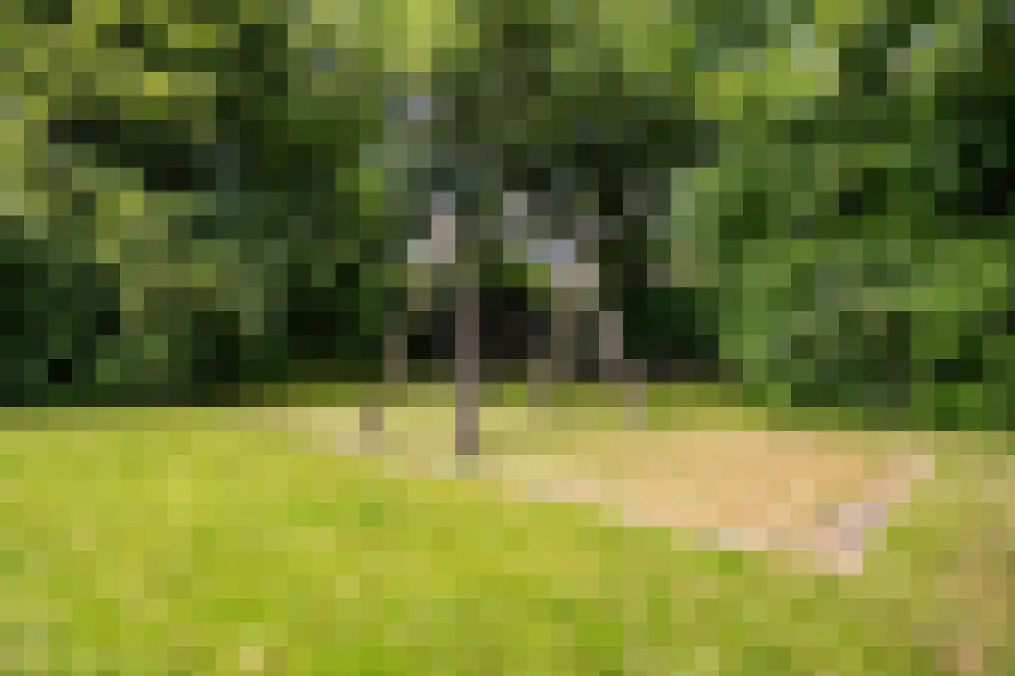 Fultsemaheerd 31 c Groningen thumbnail 71