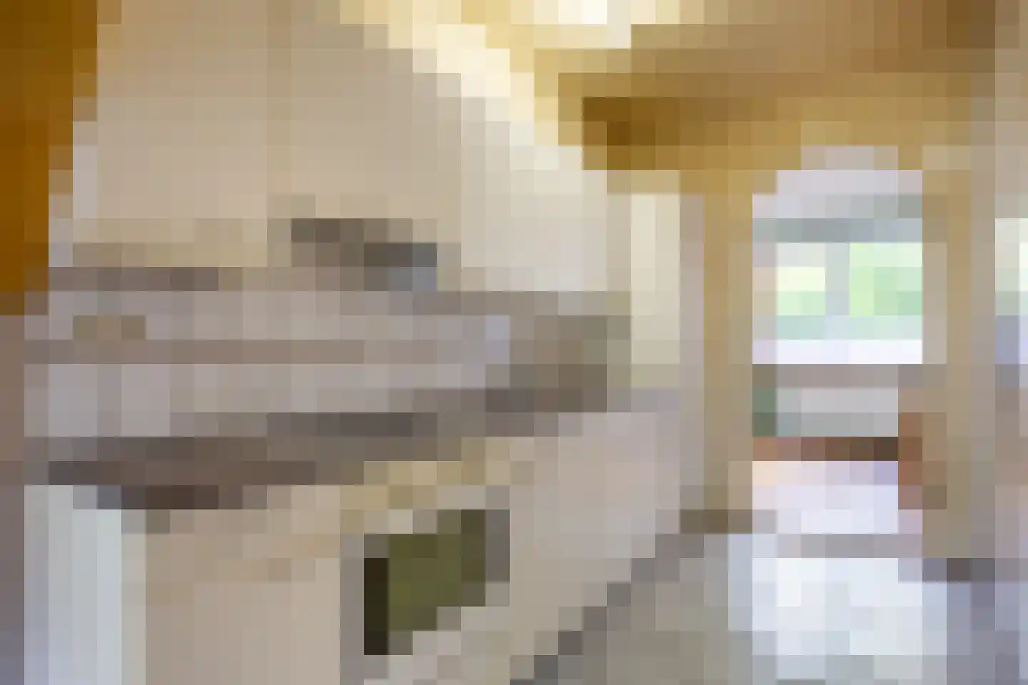 Fultsemaheerd 31 d Groningen thumbnail 18