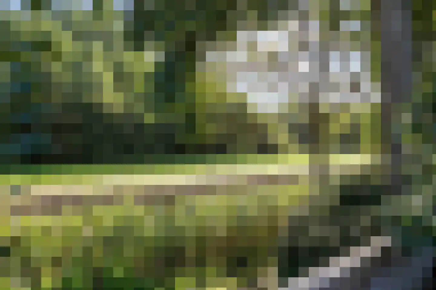 Fultsemaheerd 31 d Groningen thumbnail 32