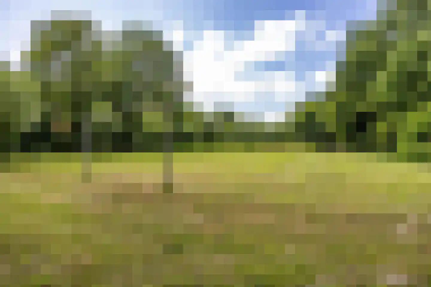 Fultsemaheerd 31 d Groningen thumbnail 42