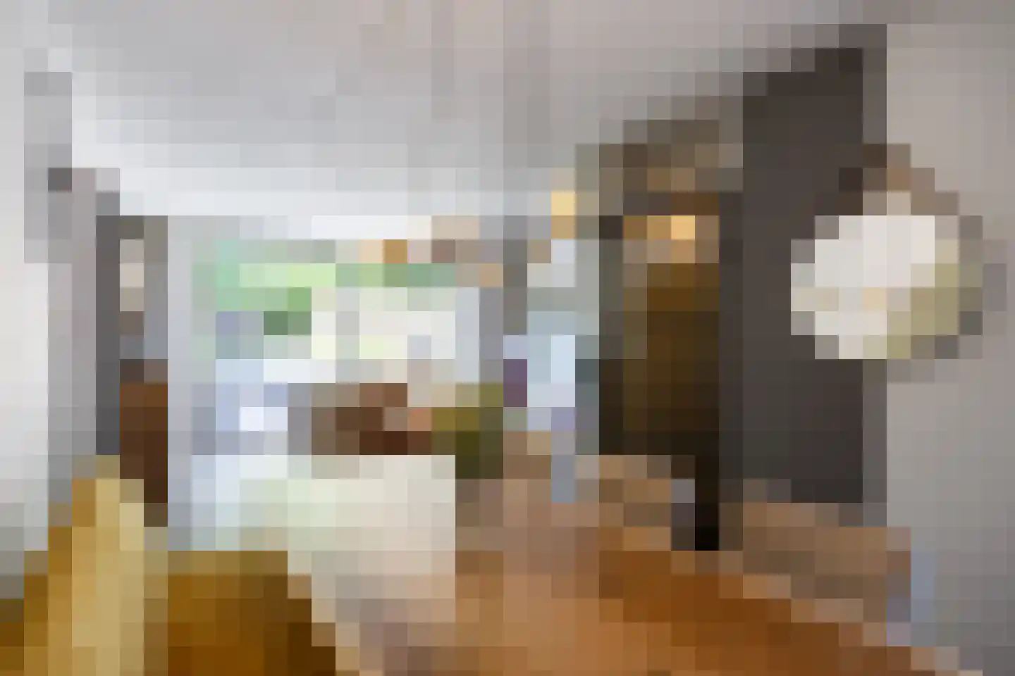Fultsemaheerd 41 Groningen thumbnail 14
