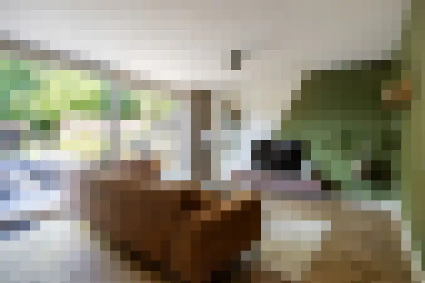 Fultsemaheerd 41 Groningen thumbnail 17