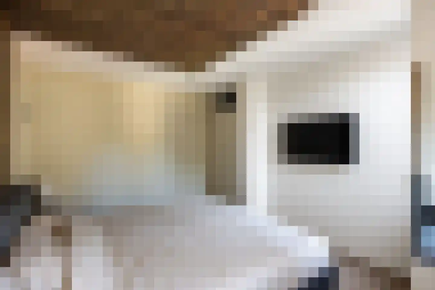 Fultsemaheerd 41 Groningen thumbnail 25