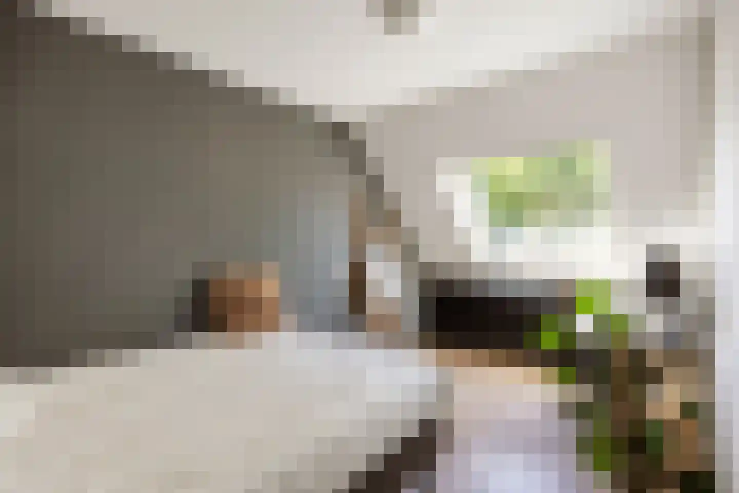 Fultsemaheerd 41 Groningen thumbnail 28