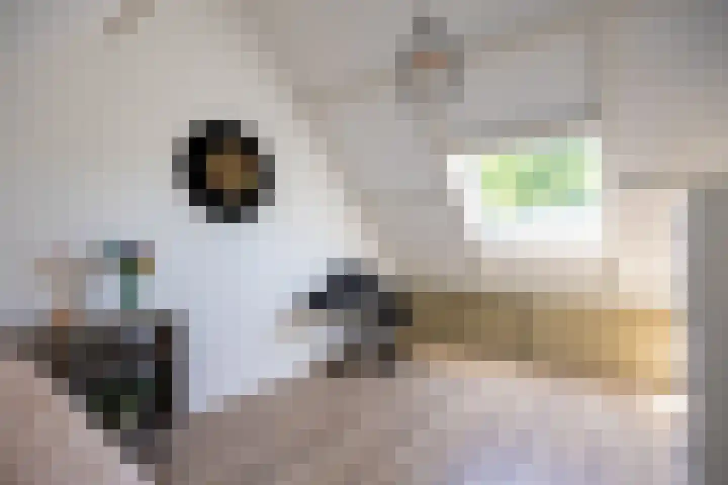 Fultsemaheerd 41 Groningen thumbnail 36