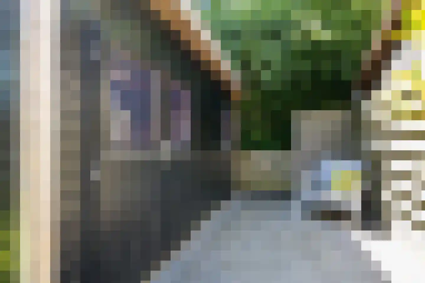 Fultsemaheerd 41 Groningen thumbnail 42
