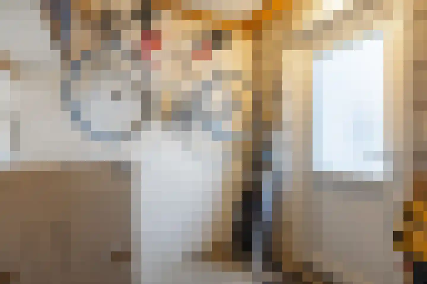 Fultsemaheerd 41 Groningen thumbnail 47