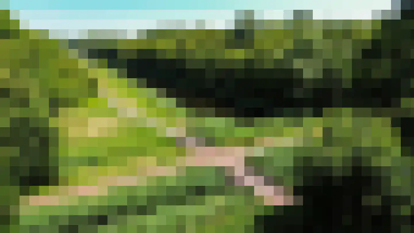 Fultsemaheerd 41 Groningen thumbnail 52